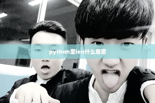 python里len什么意思