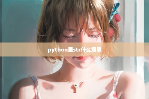 python里str什么意思