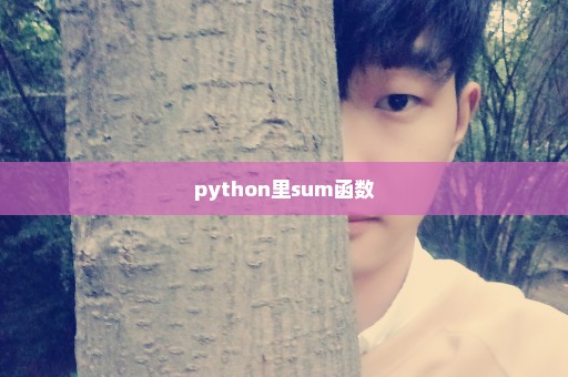 python里sum函数