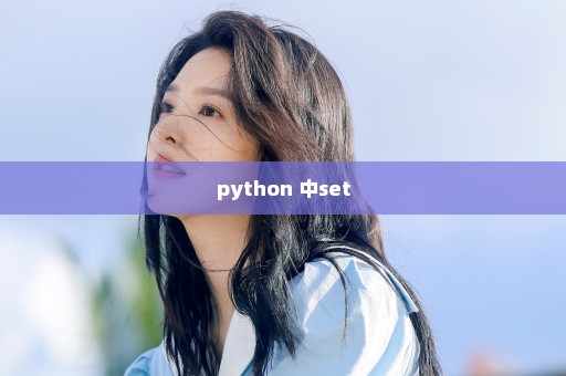 python 中set