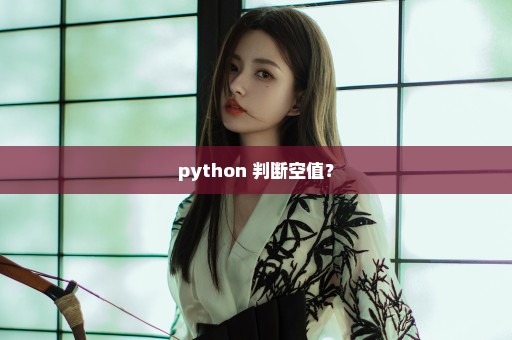 python 判断空值？