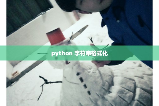 python 字符串格式化