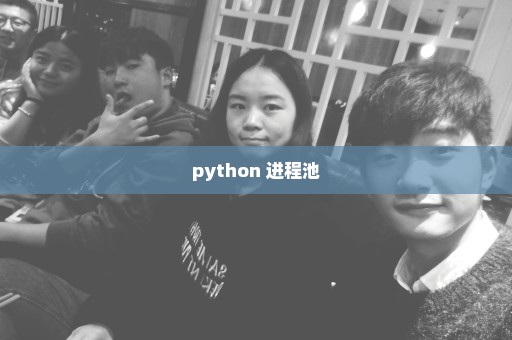 python 进程池