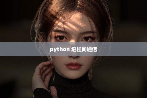 python 进程间通信