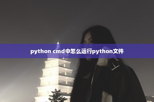 python cmd中怎么运行python文件