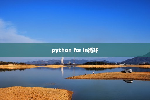 python for in循环