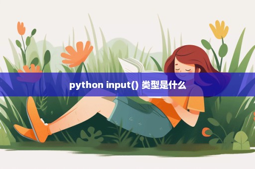 python input() 类型是什么