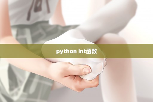 python int函数