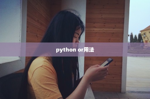 python or用法