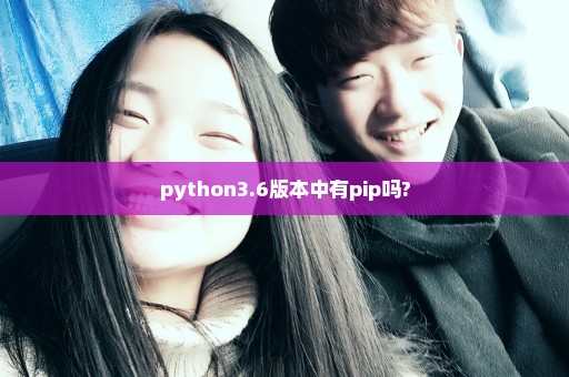 python3.6版本中有pip吗?