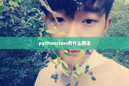 pythonclass有什么用法