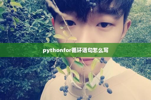 pythonfor循环语句怎么写