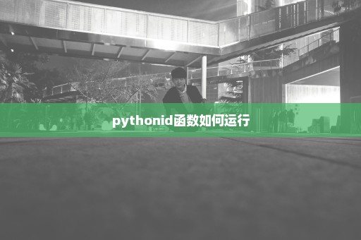 pythonid函数如何运行