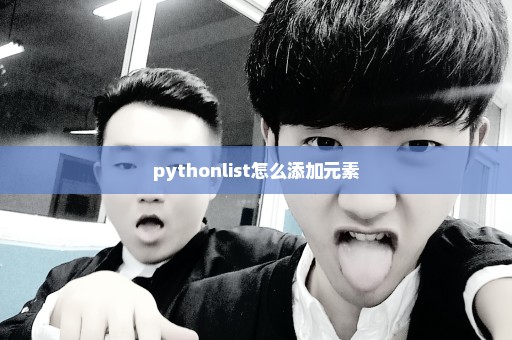 pythonlist怎么添加元素