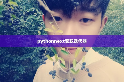 pythonnext获取迭代器