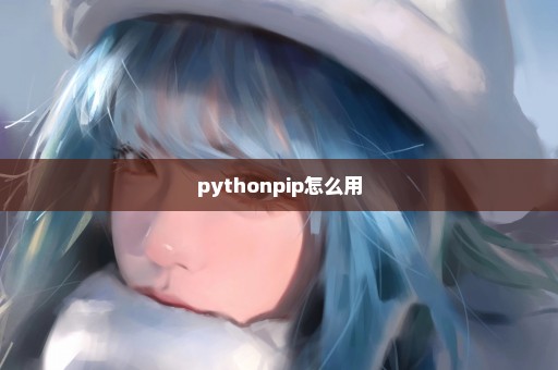 pythonpip怎么用