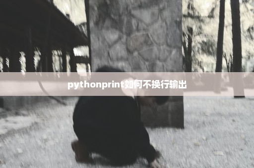 pythonprint如何不换行输出