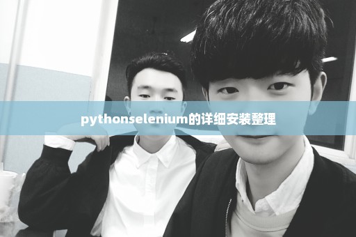 pythonselenium的详细安装整理