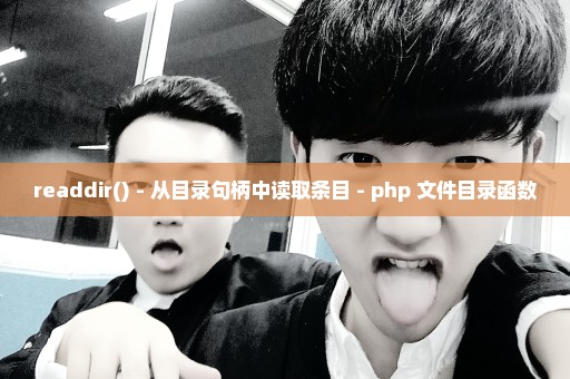 readdir() - 从目录句柄中读取条目 - php 文件目录函数