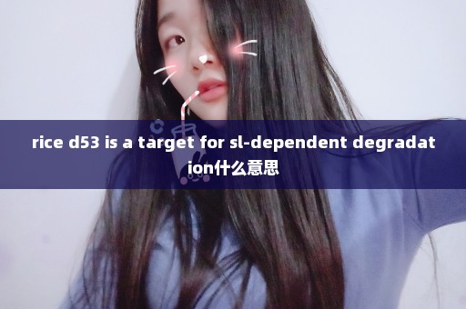 rice d53 is a target for sl-dependent degradation什么意思