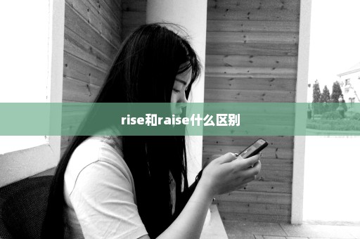 rise和raise什么区别