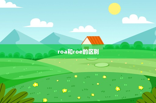 roa和roe的区别