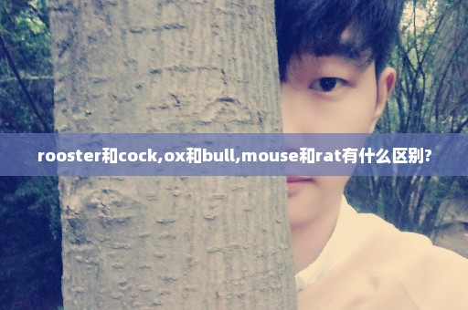 rooster和cock,ox和bull,mouse和rat有什么区别?