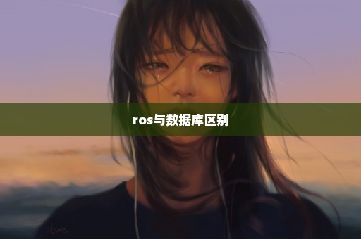 ros与数据库区别