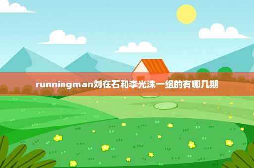 runningman刘在石和李光洙一组的有哪几期