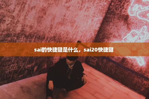 sai的快捷键是什么，sai20快捷键 