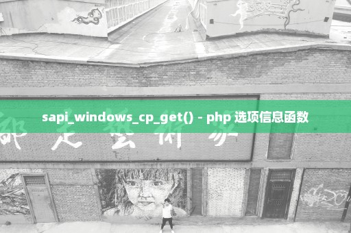 sapi_windows_cp_get() - php 选项信息函数