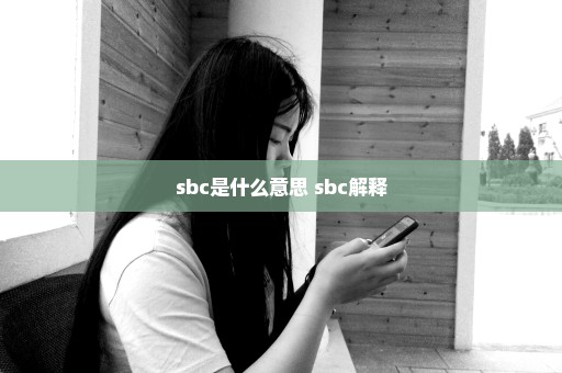 sbc是什么意思 sbc解释