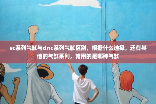 sc系列气缸与dnc系列气缸区别，根据什么选择，还有其他的气缸系列，常用的是哪种气缸