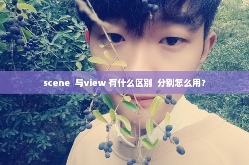 scene  与view 有什么区别  分别怎么用？