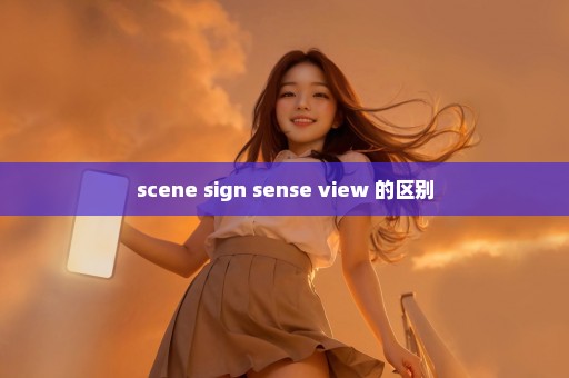 scene sign sense view 的区别