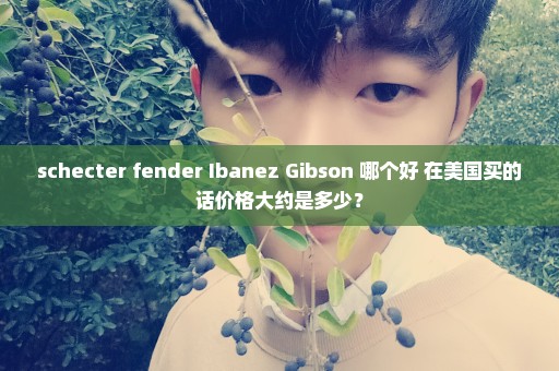 schecter fender Ibanez Gibson 哪个好 在美国买的话价格大约是多少？