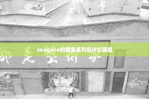 seagate的酷鱼系列是什么硬盘