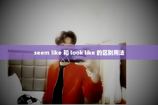 seem like 和 look like 的区别用法