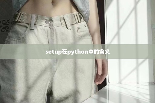 setup在python中的含义