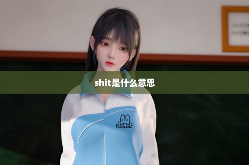 shit是什么意思