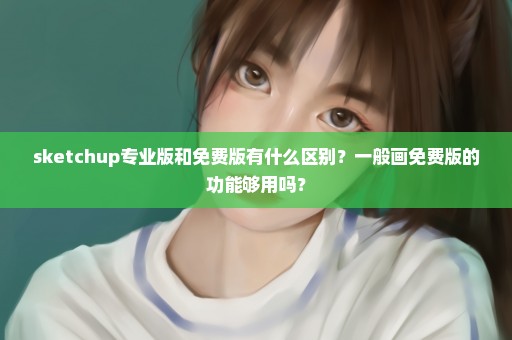 sketchup专业版和免费版有什么区别？一般画免费版的功能够用吗？