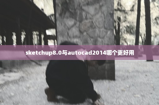 sketchup8.0与autocad2014哪个更好用