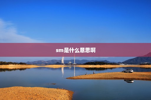 sm是什么意思啊