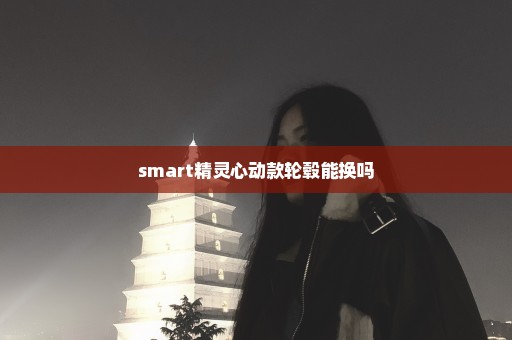 smart精灵心动款轮毂能换吗