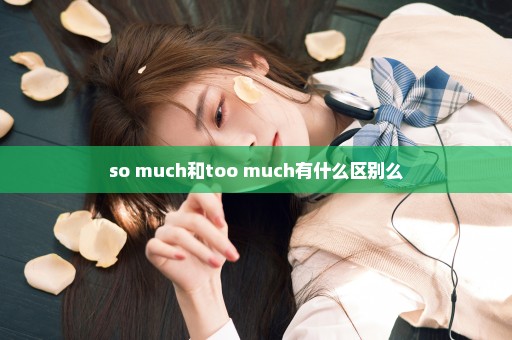 so much和too much有什么区别么