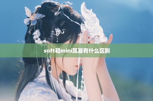 soft和mini耳塞有什么区别