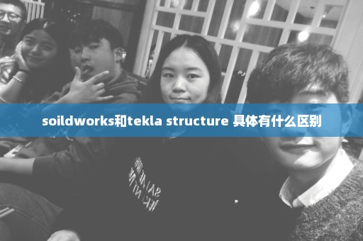 soildworks和tekla structure 具体有什么区别