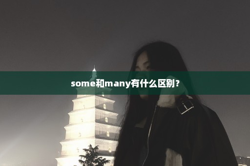 some和many有什么区别？