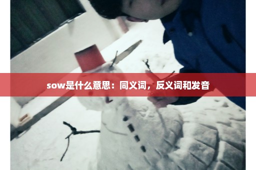 sow是什么意思：同义词，反义词和发音