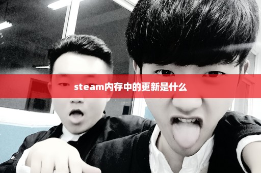 steam内存中的更新是什么